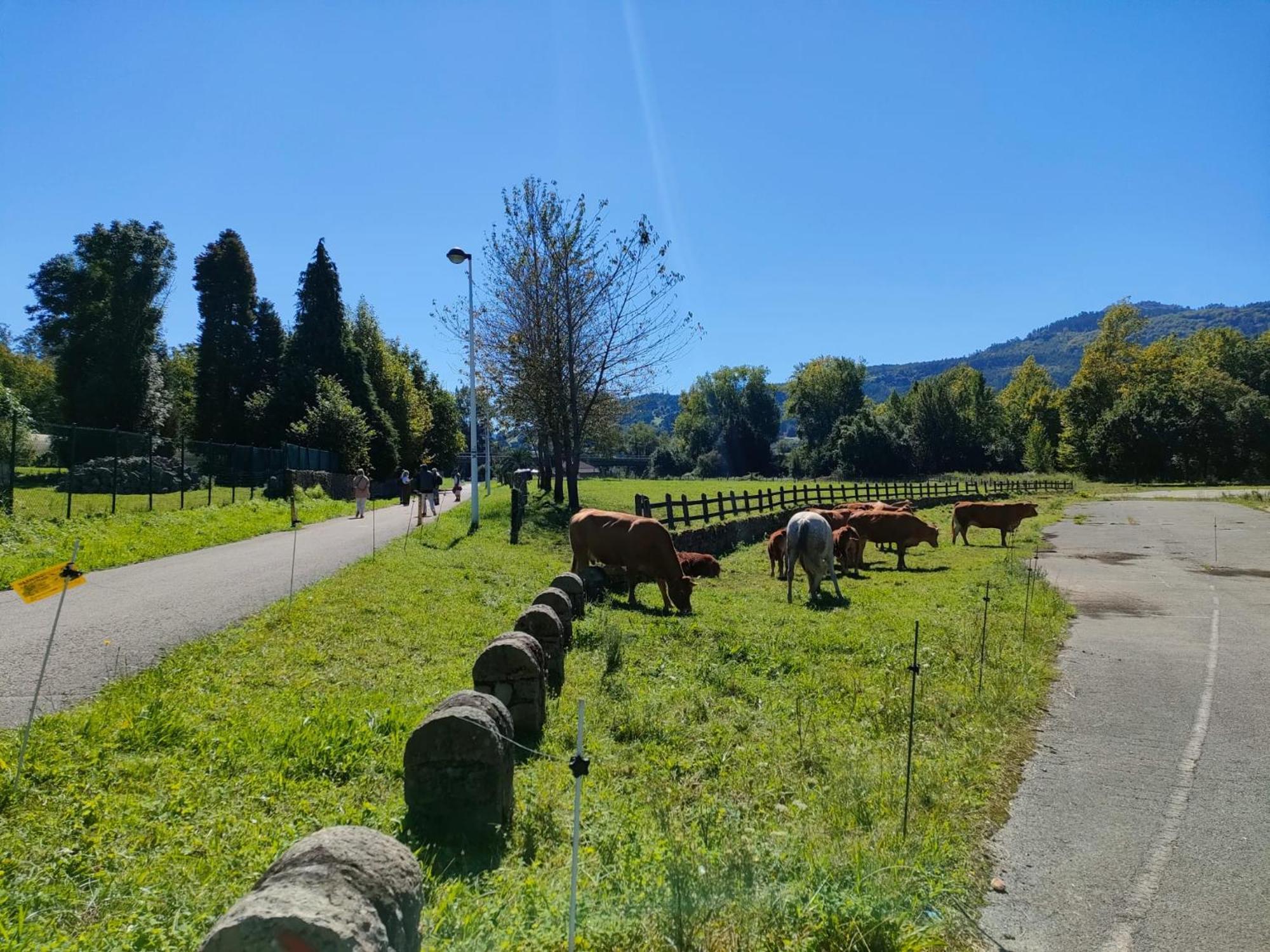 Atico De Los Valles Pasiegos-Valles Pasiegos Penthouse Villabanez  Zewnętrze zdjęcie